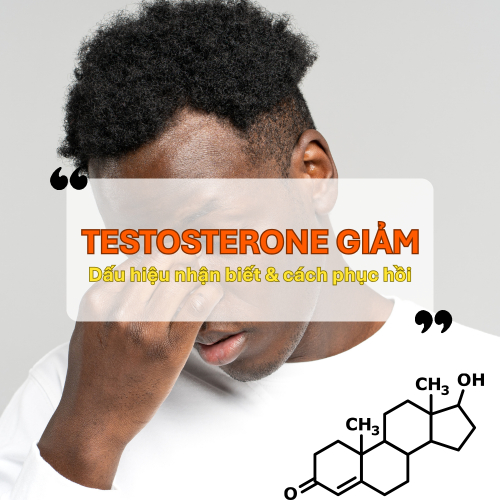 Testosterone Giảm – Dấu Hiệu Nhận Biết Và Hướng Phục Hồi